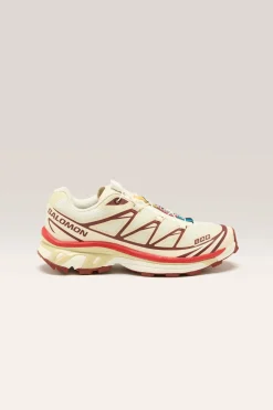 SALOMON Xt-6 Pour Femmes